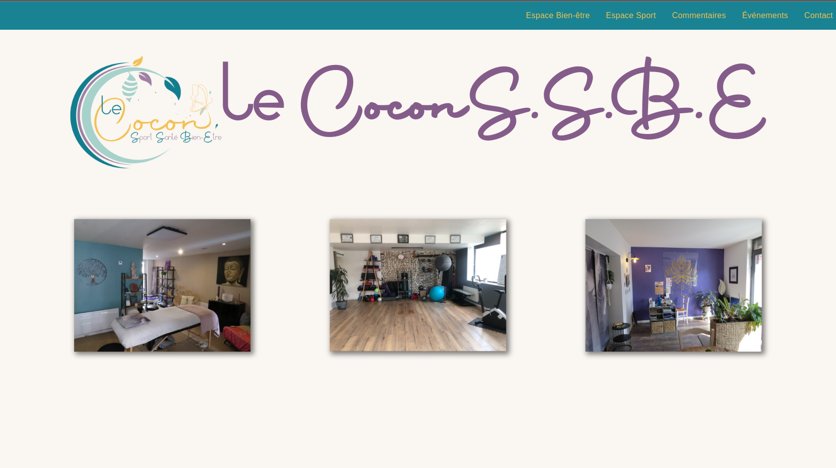 Site vitrine Le cocon.SSBE